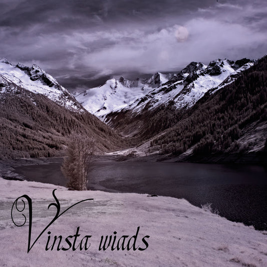Vinsta - Vinsta Wiads (CD Digipak)