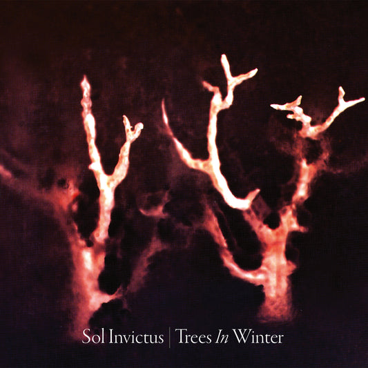 Sol Invictus - Trees in Winter (CD Digipak)