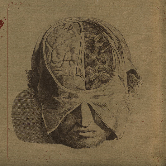 Farsot – Insekten (Vinyl-LP – Schwarz)