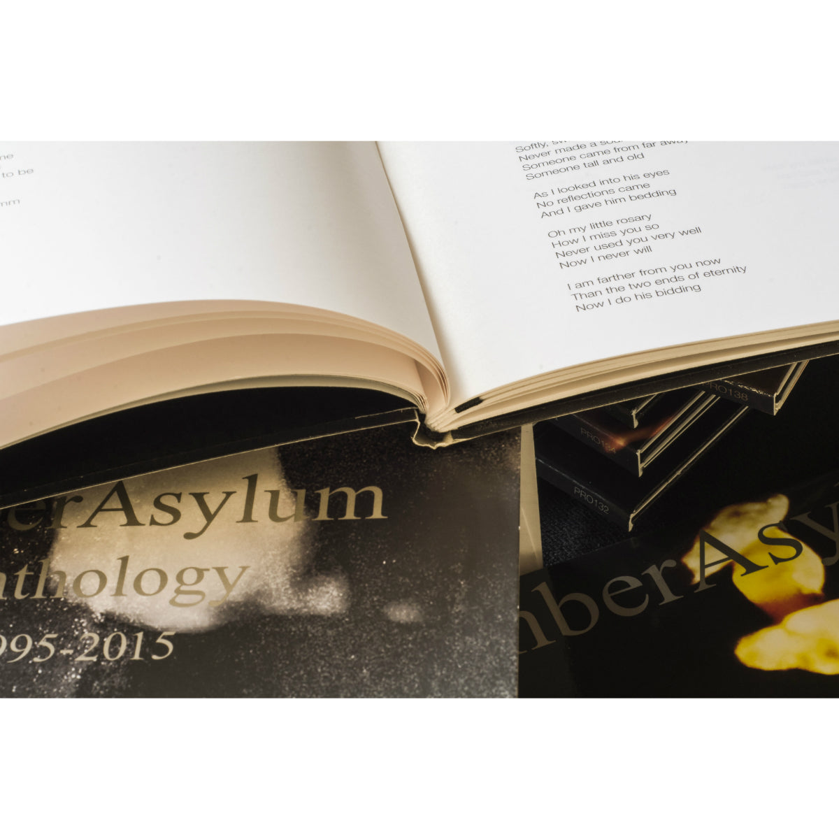 Amber Asylum - Anthology (Vinyl - Box)