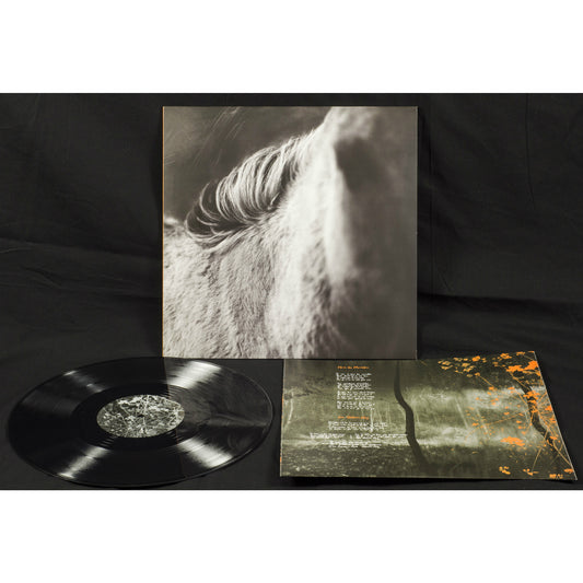 Les Discrets – Rue Octavio Mey / Fleur des Murailles (Vinyl 12" EP)