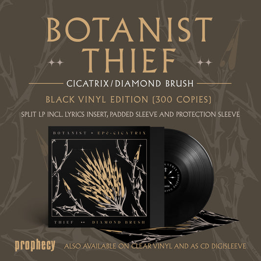 Thief - Cicatrix / Diamond Brush (Vinilo) (Split con Botanist)