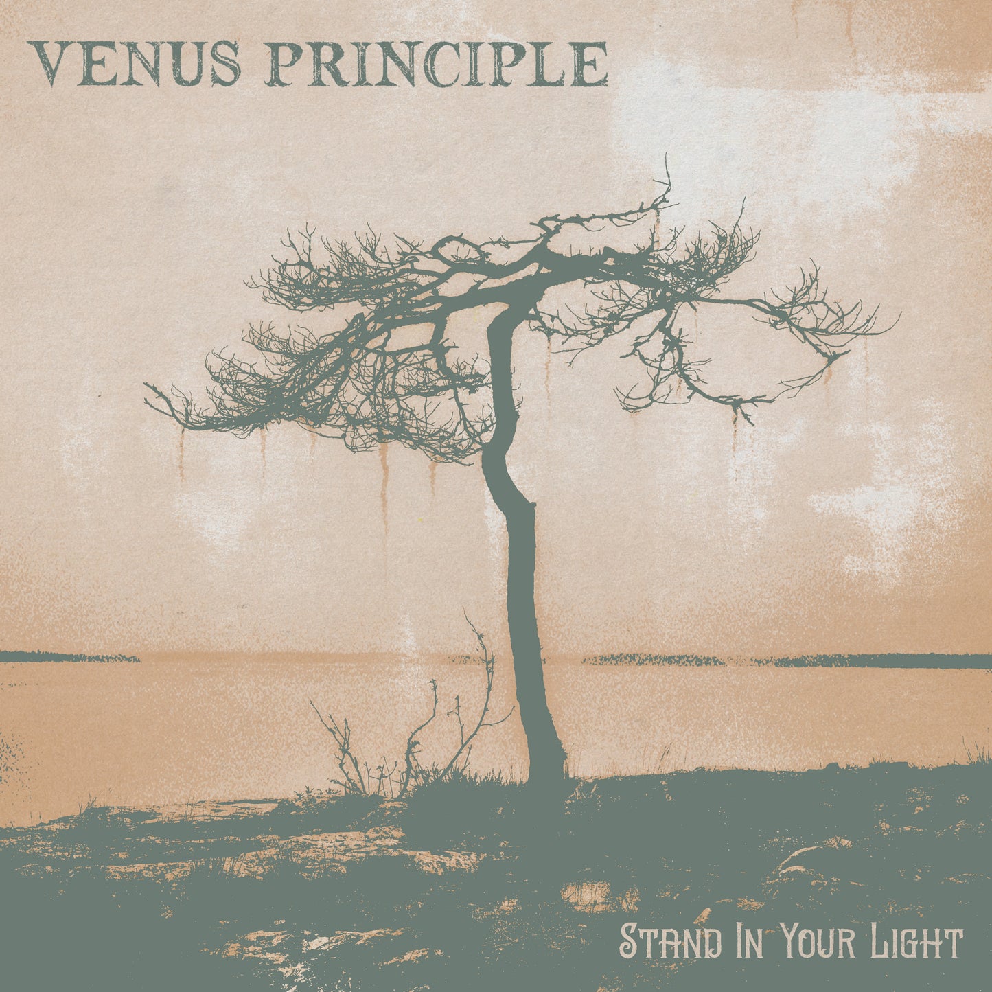 Venus Principle - Stand In Your Light (Vinyl 2-LP Gatefold)
