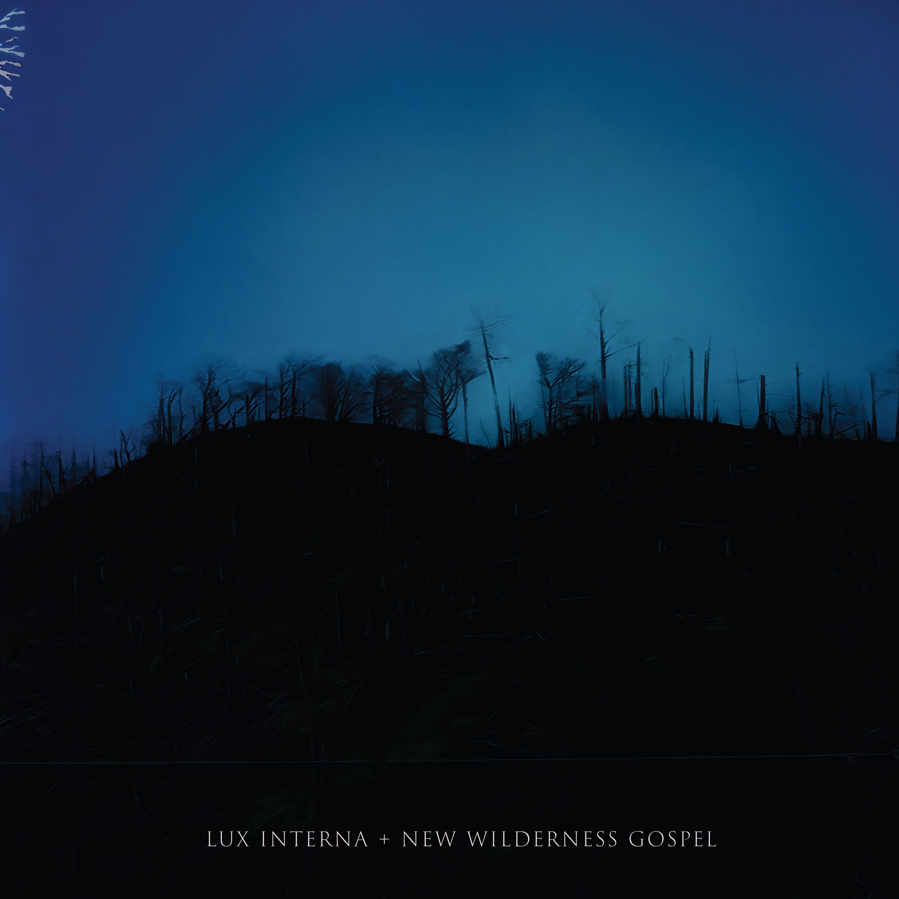 Lux Interna - New Wilderness Gospel (Vinyl 2-LP Gatefold)