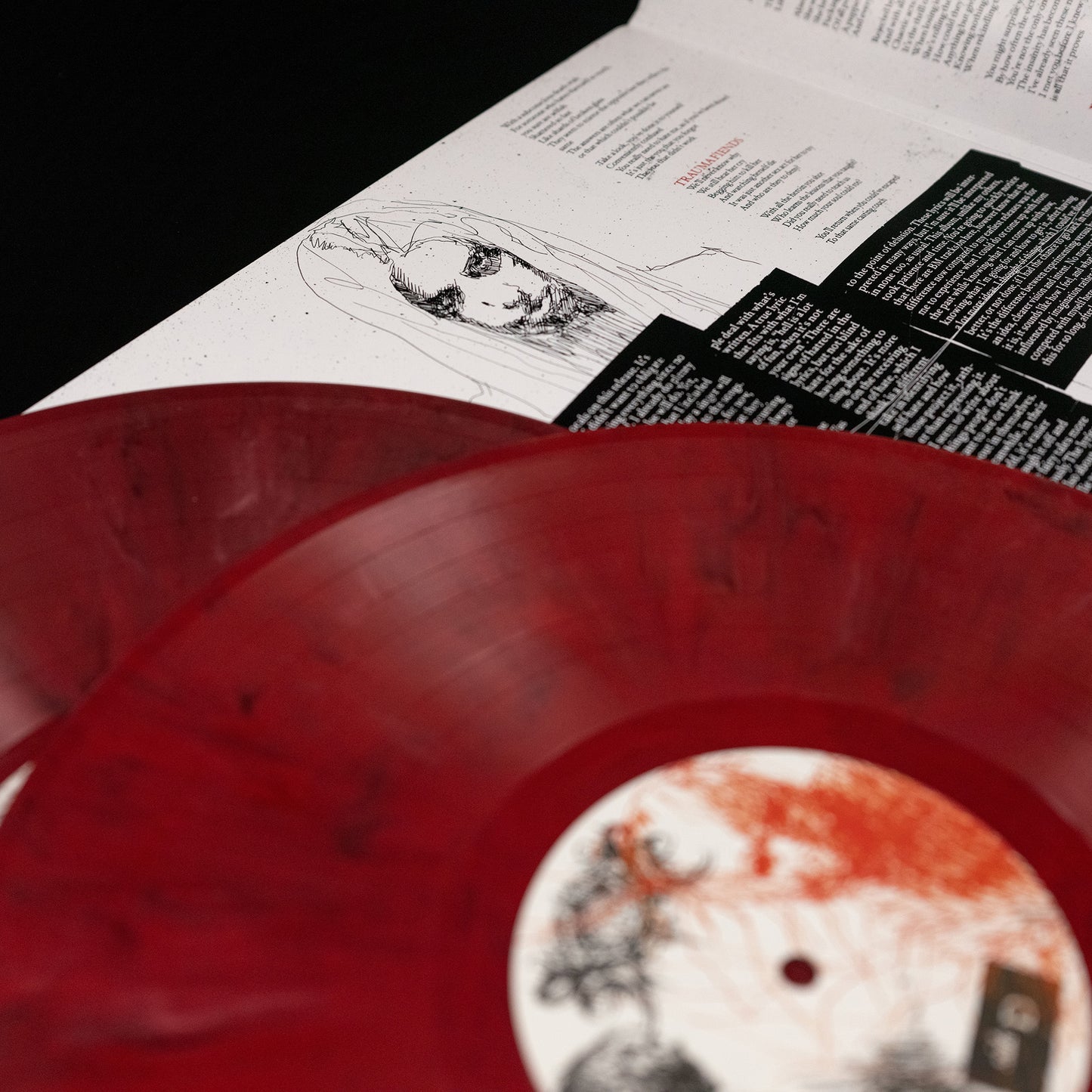 Xasthur - Inevitably Dark (Vinyl 2-LP Gatefold)