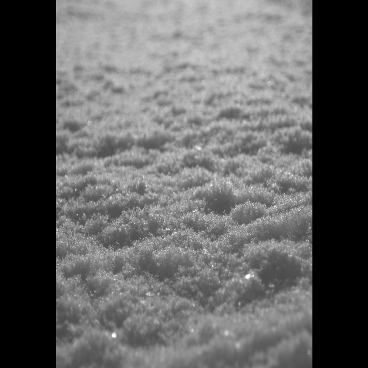 Paysage d'Hiver - Schnee (MC)