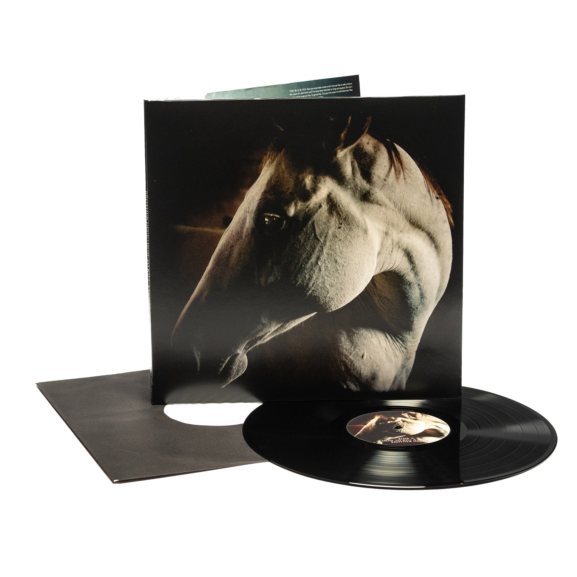 Brother Dege - How To Kill A Horse (Vinyl Gatefold LP)