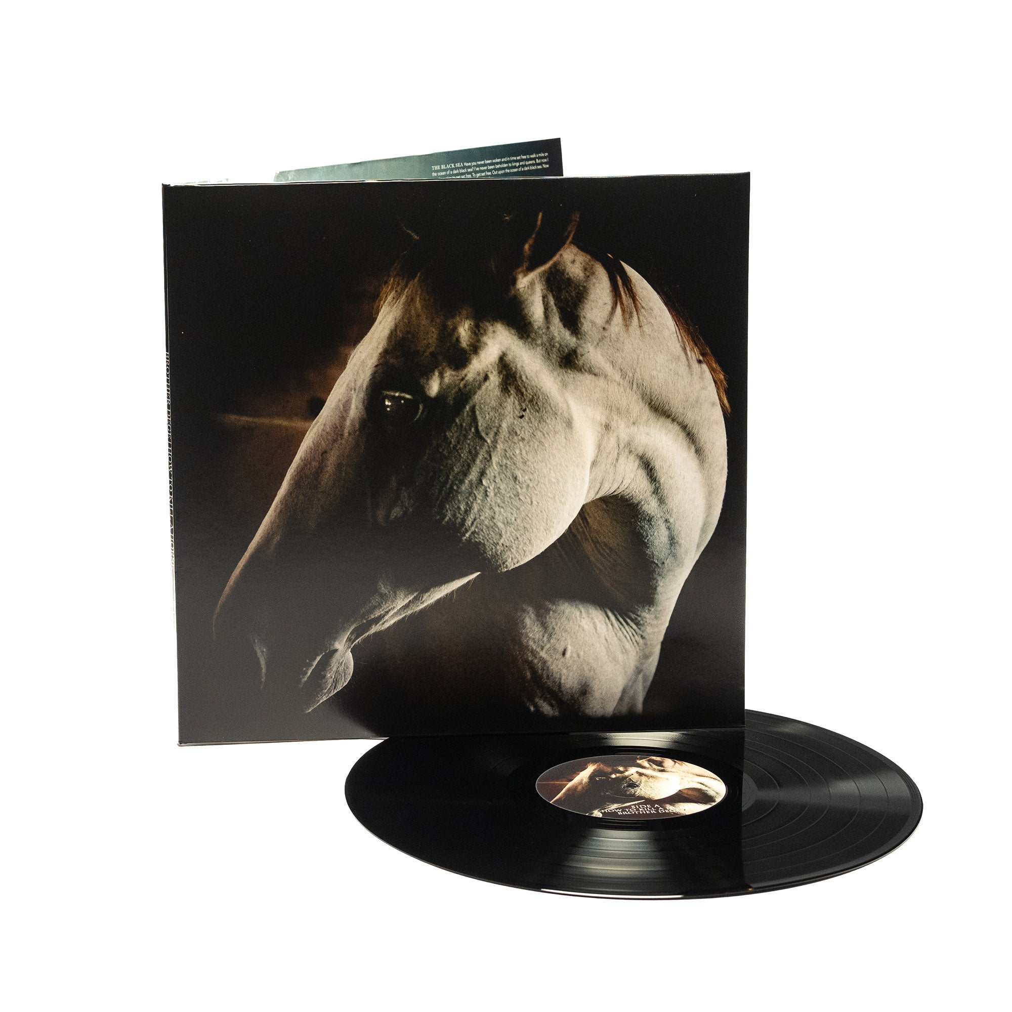 Brother Dege - How To Kill A Horse (Vinyl Gatefold LP)