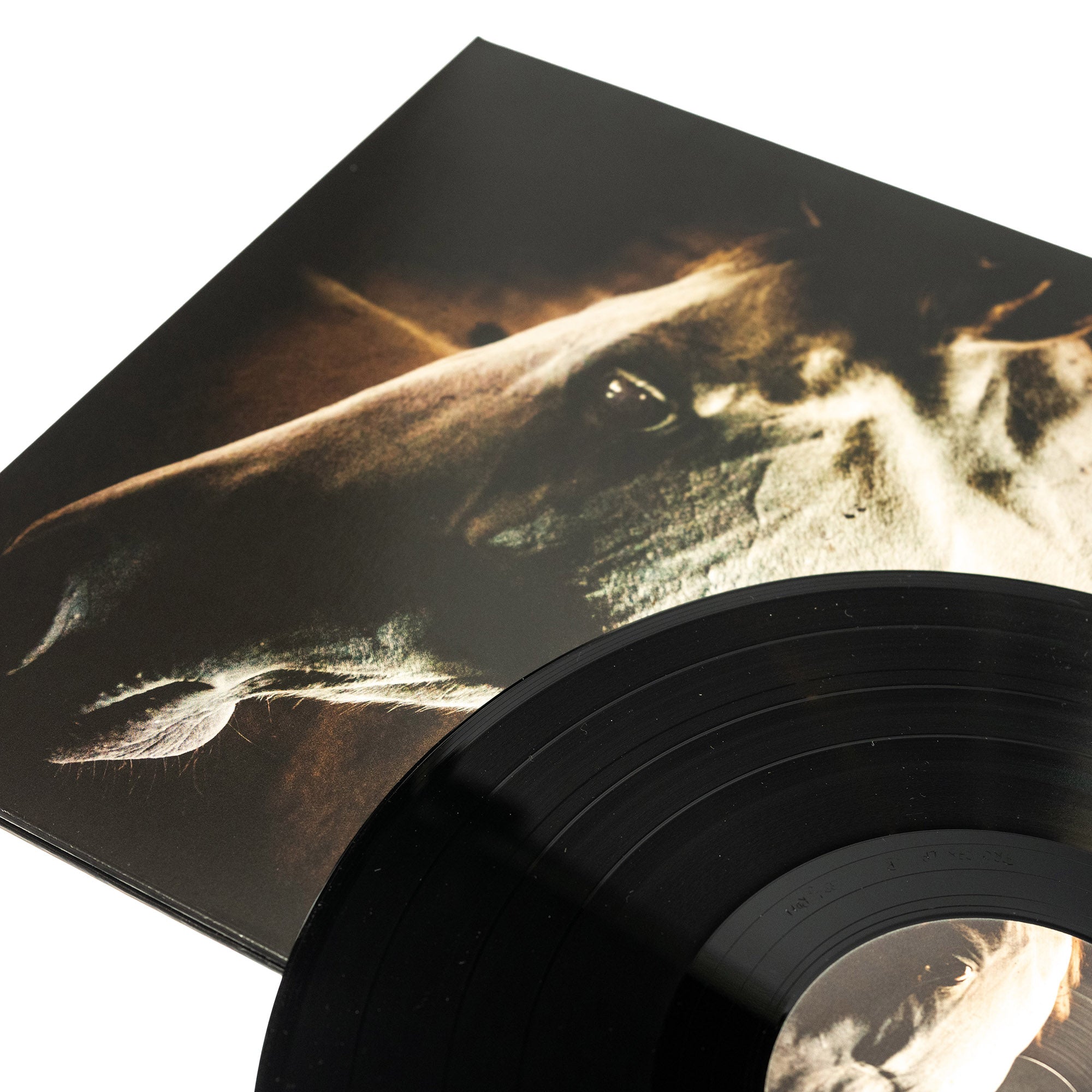 Brother Dege - How To Kill A Horse (Vinyl Gatefold LP)