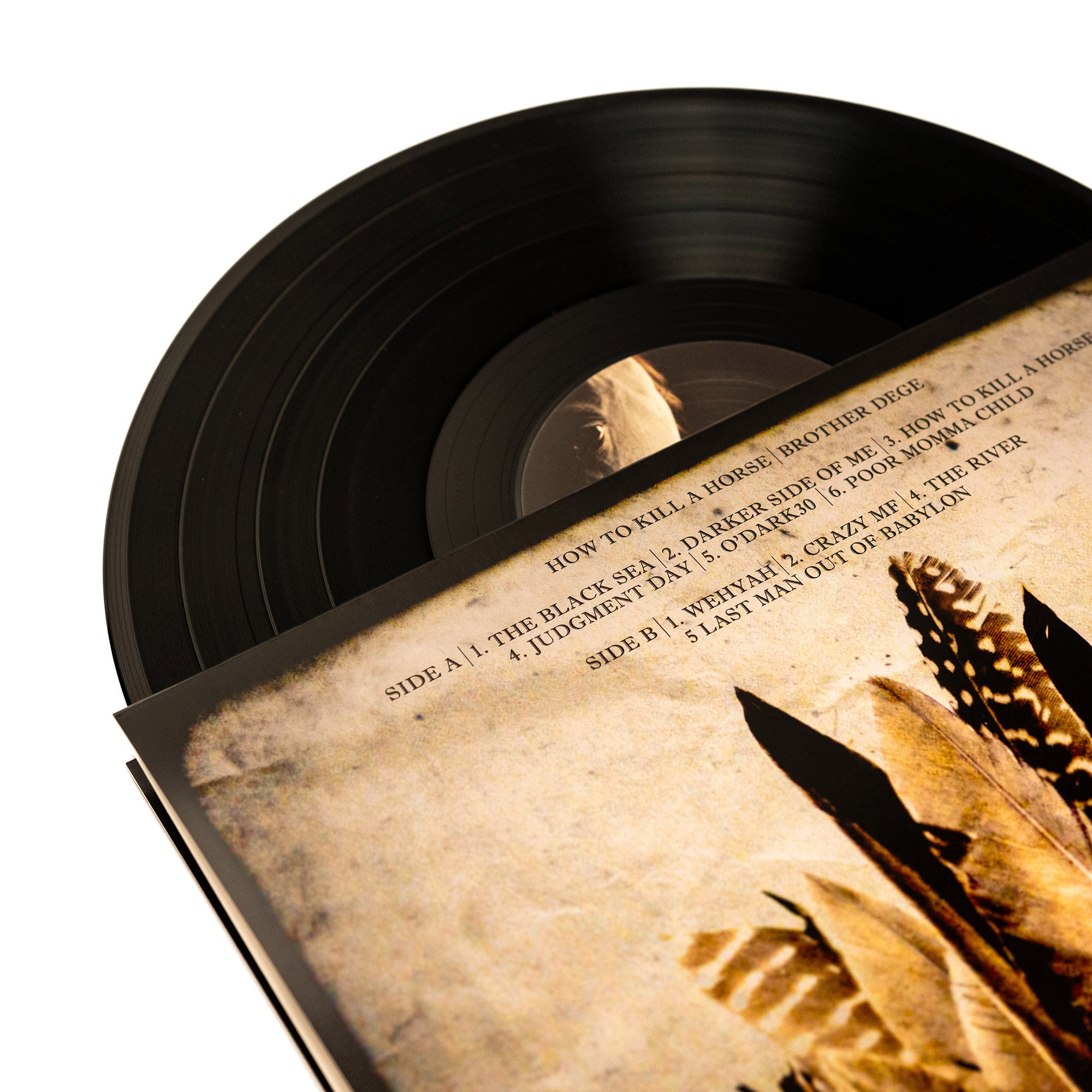 Brother Dege - How To Kill A Horse (Vinyl Gatefold LP)