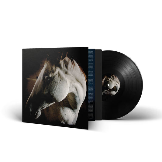 Brother Dege – Wie man ein Pferd tötet (Vinyl-Klapp-LP)