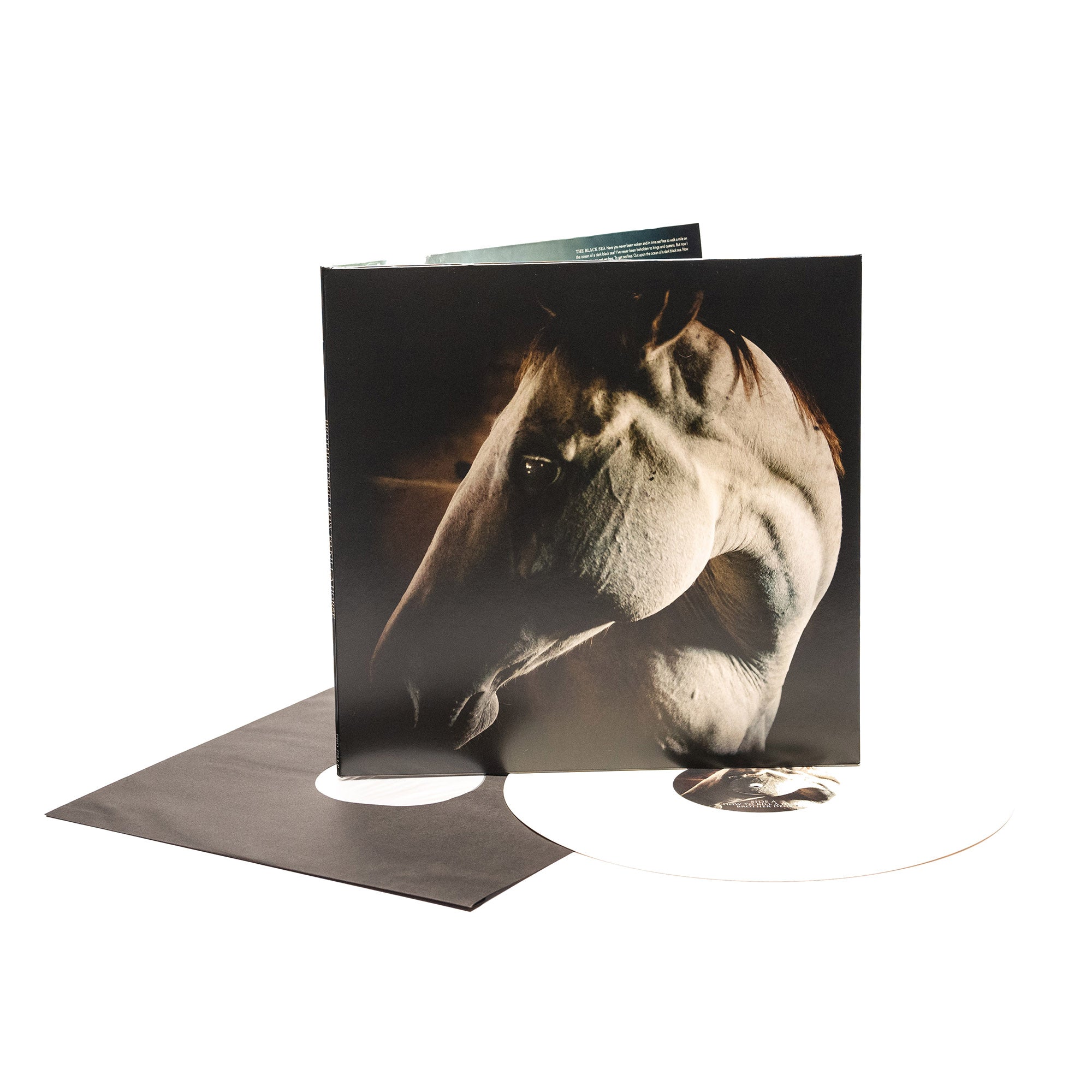 Brother Dege - How To Kill A Horse (Vinyl Gatefold LP)