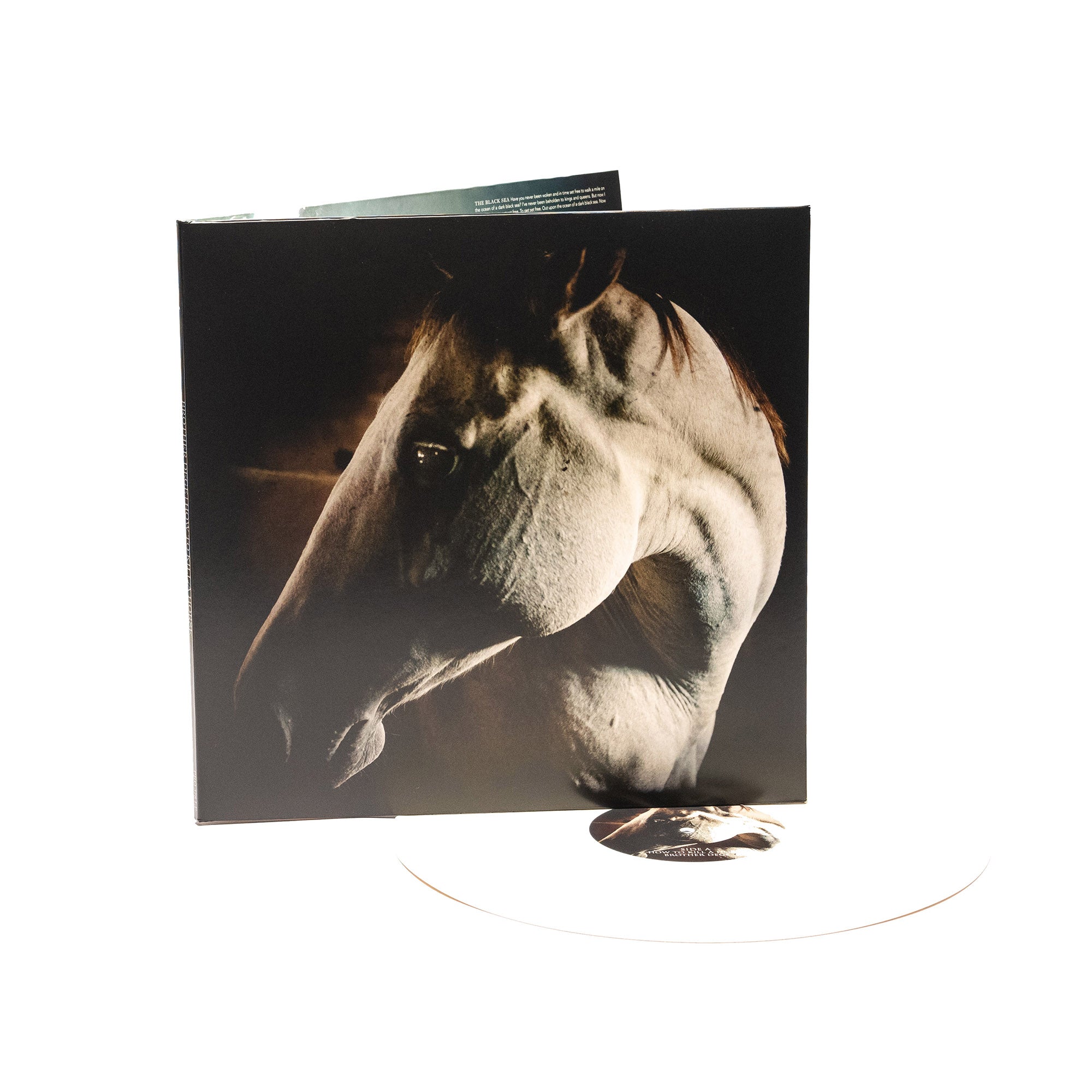 Brother Dege - How To Kill A Horse (Vinyl Gatefold LP)