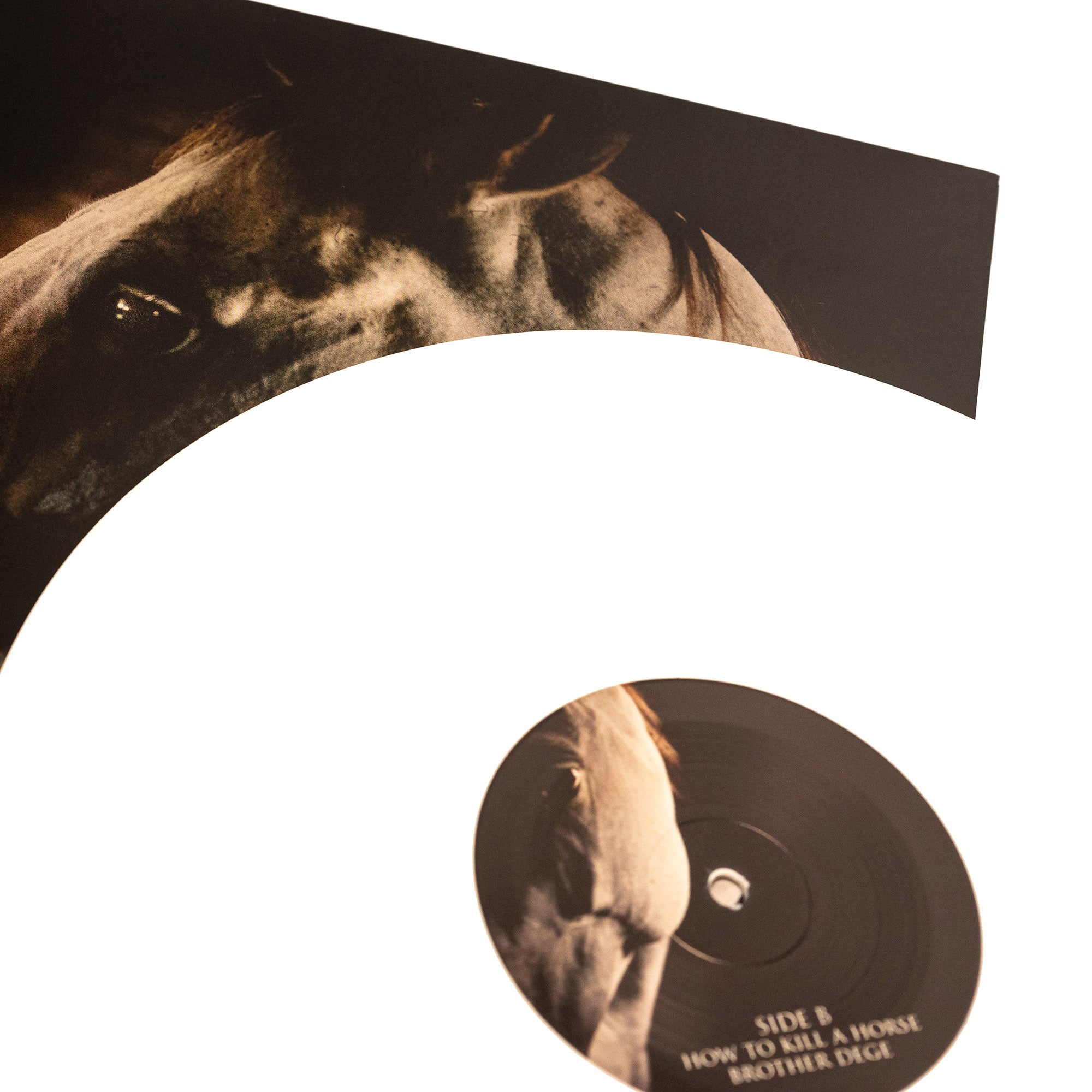 Brother Dege - How To Kill A Horse (Vinyl Gatefold LP)