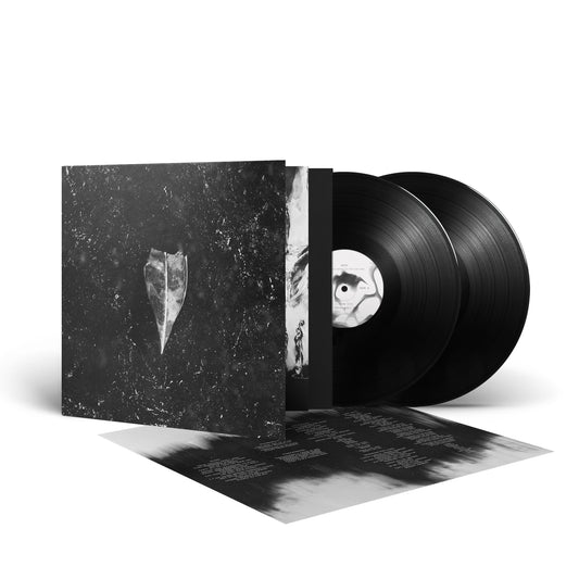 Abejas hicieron miel en la vena del árbol - Aion (Vinilo de 2 LP desplegable)