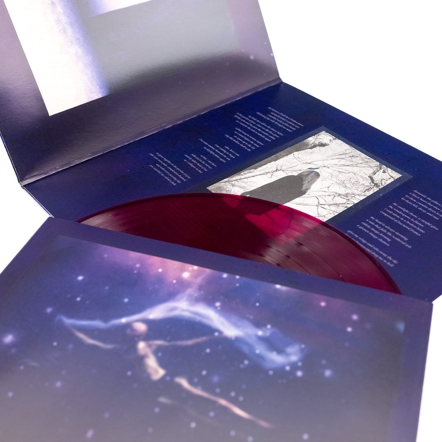 Unreqvited - Mosaic II: la déteste et la détresse (LP de vinilo Gatefold)