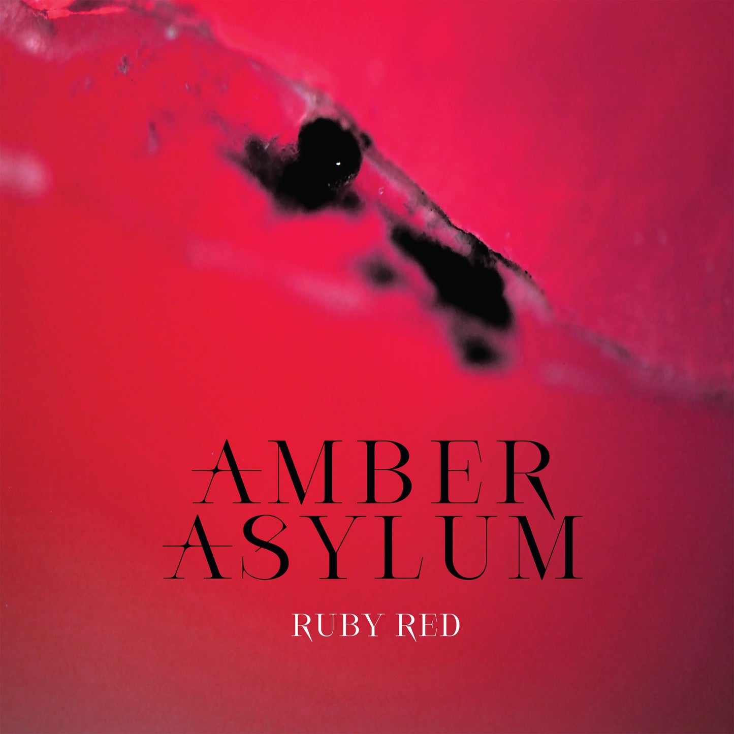 Amber Asylum - Ruby Red (Artbook CD)