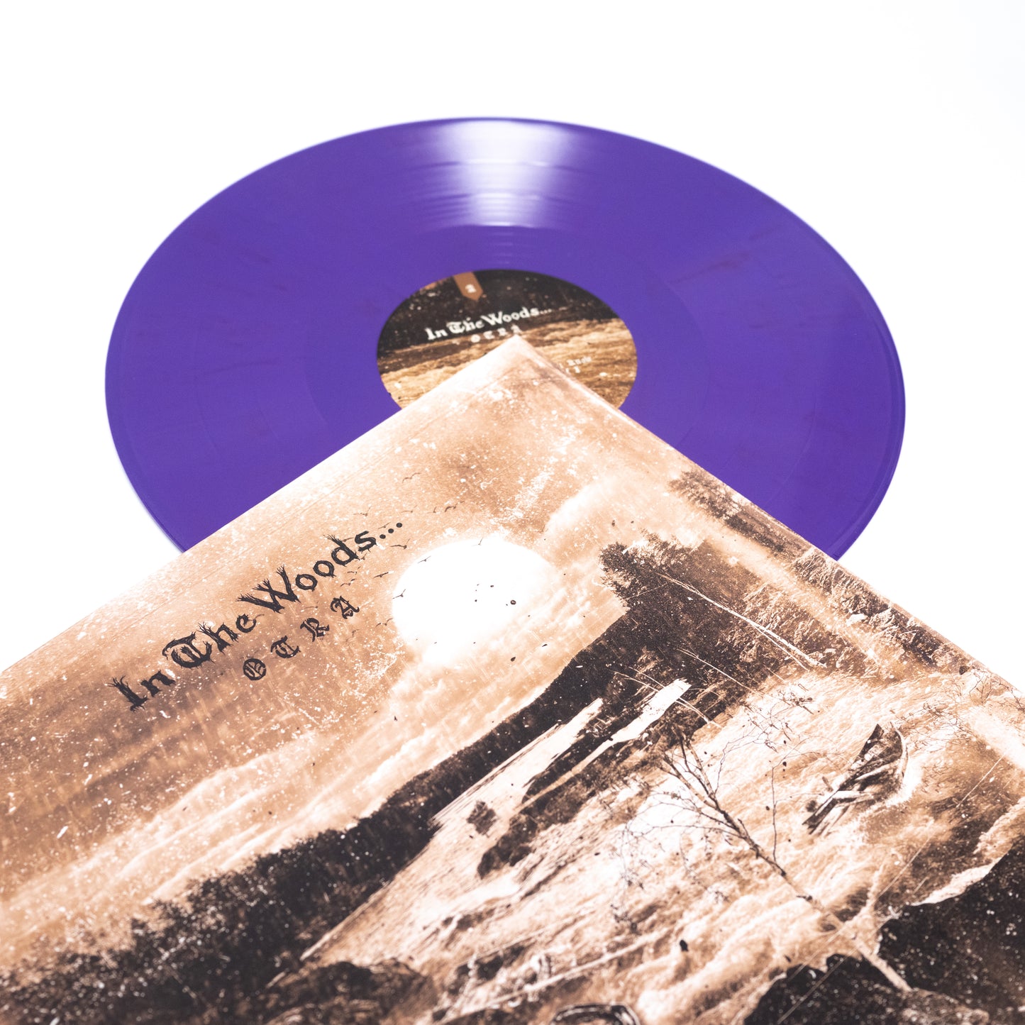 En el bosque... - Otra (Vinilo desplegable)
