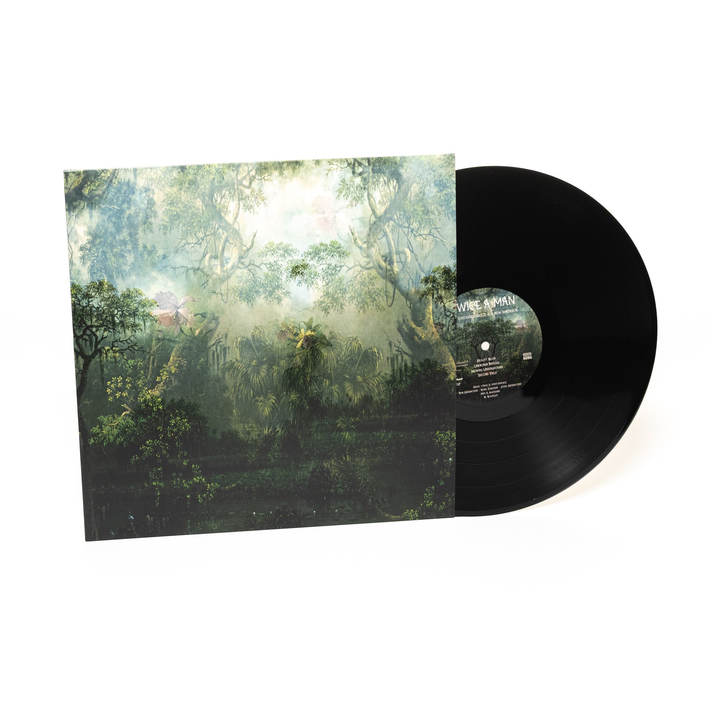 Twice A Man – The Coloured Breeze Is A New Dimension (Vinyl-LP – Schwarz)