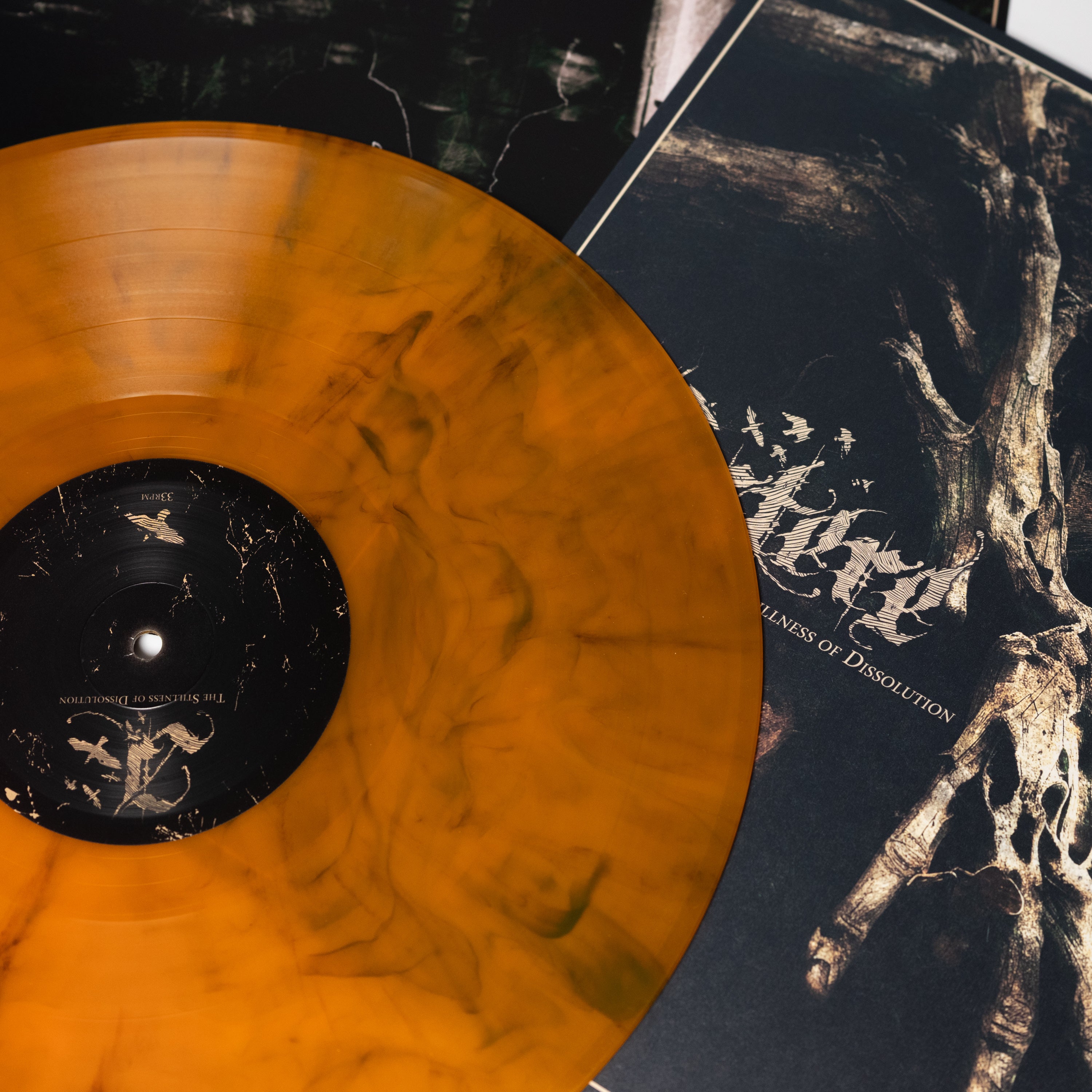 Austere - The Stillness Of Dissolution (Vinyl LP)