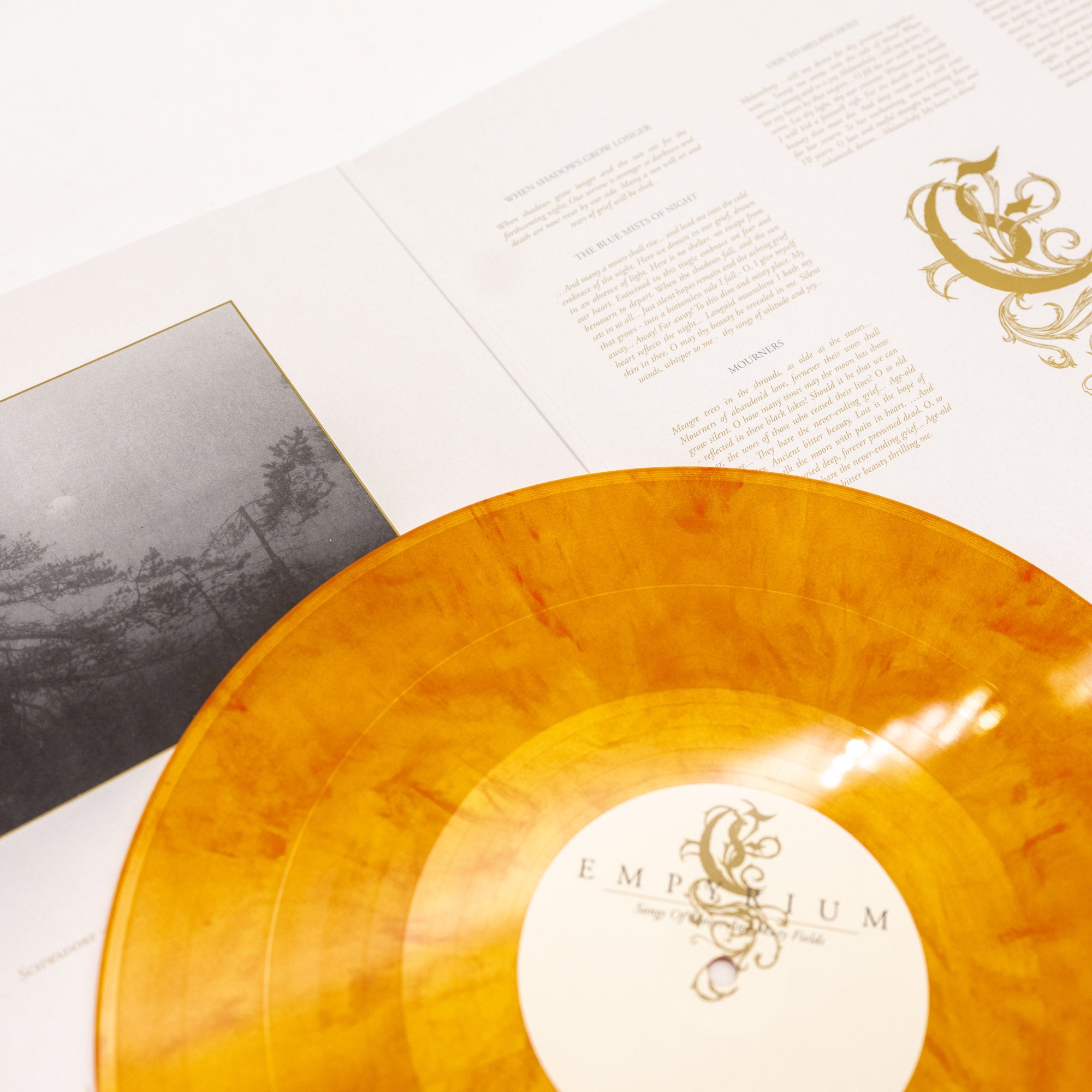 Empyrium - Songs Of Moors And Misty Fields (Vinyl Gatefold LP - Gold/Oxblood Marble)