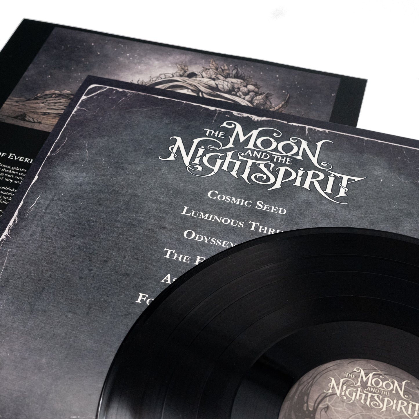 The Moon and the Nightspirit - Seed of the Formless (Vinyl LP)