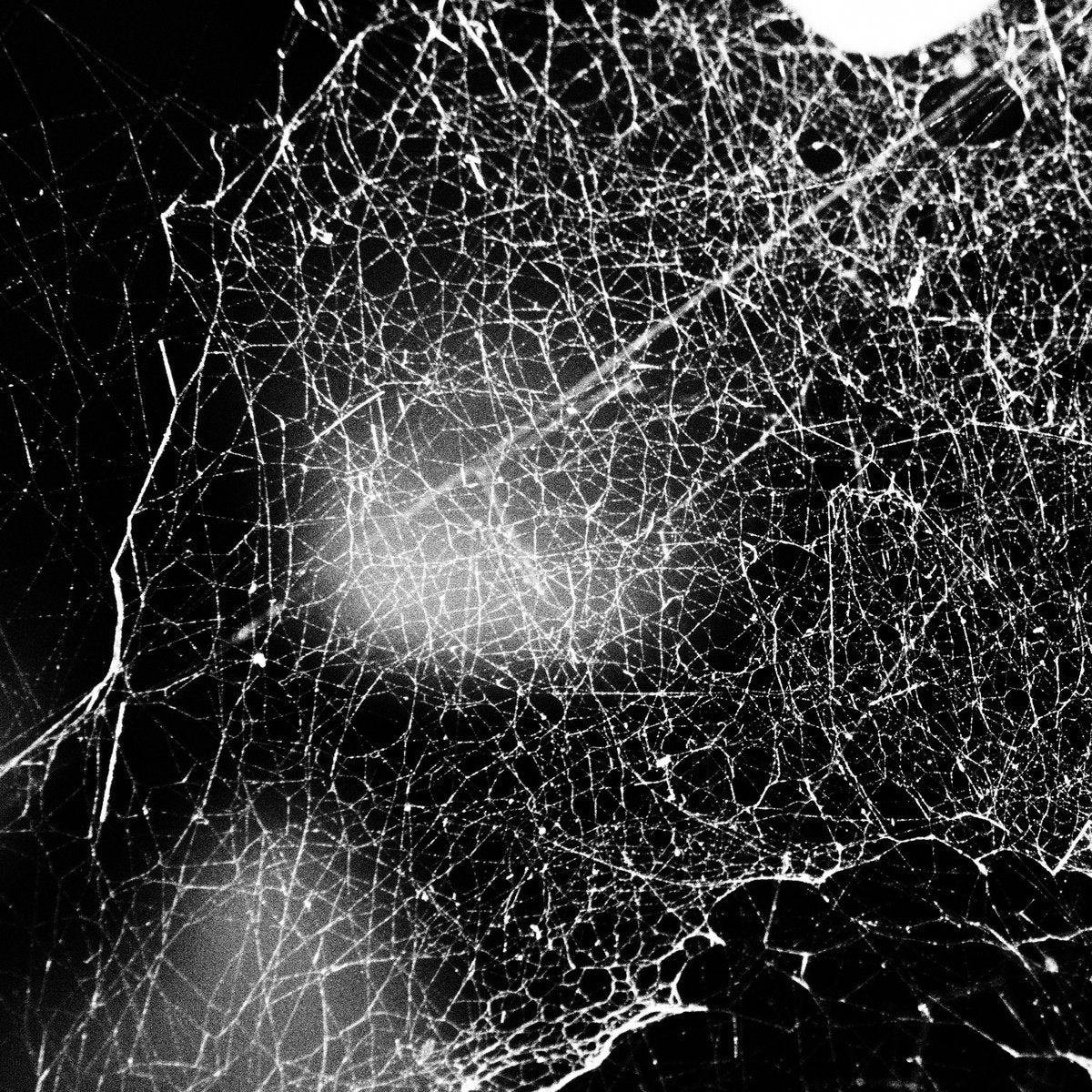 Hadopelagyal - Haematophoryktos (CD Digipak)