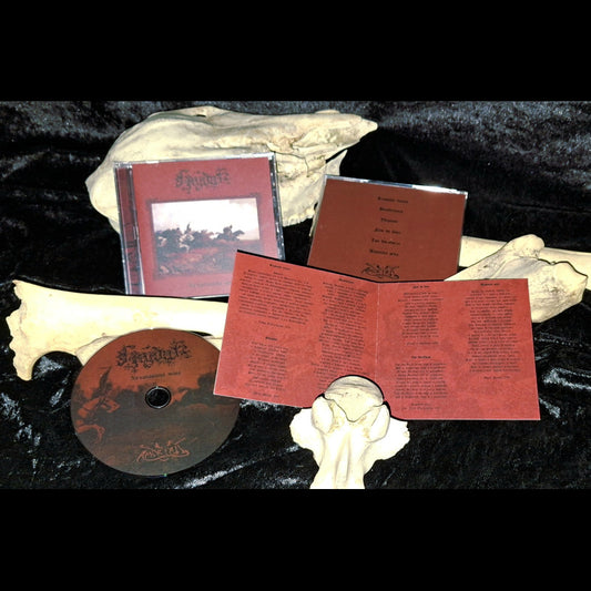 Hajduk - Хвърковата чета (The Flying Band) (CD)