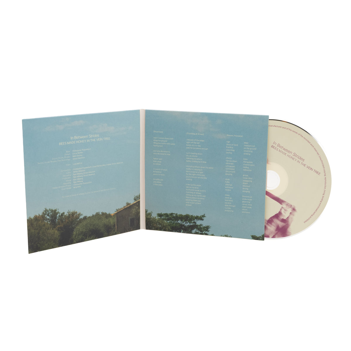 Bees Made Honey In The Vein Tree - In Between Strides (CD Digisleeve)
