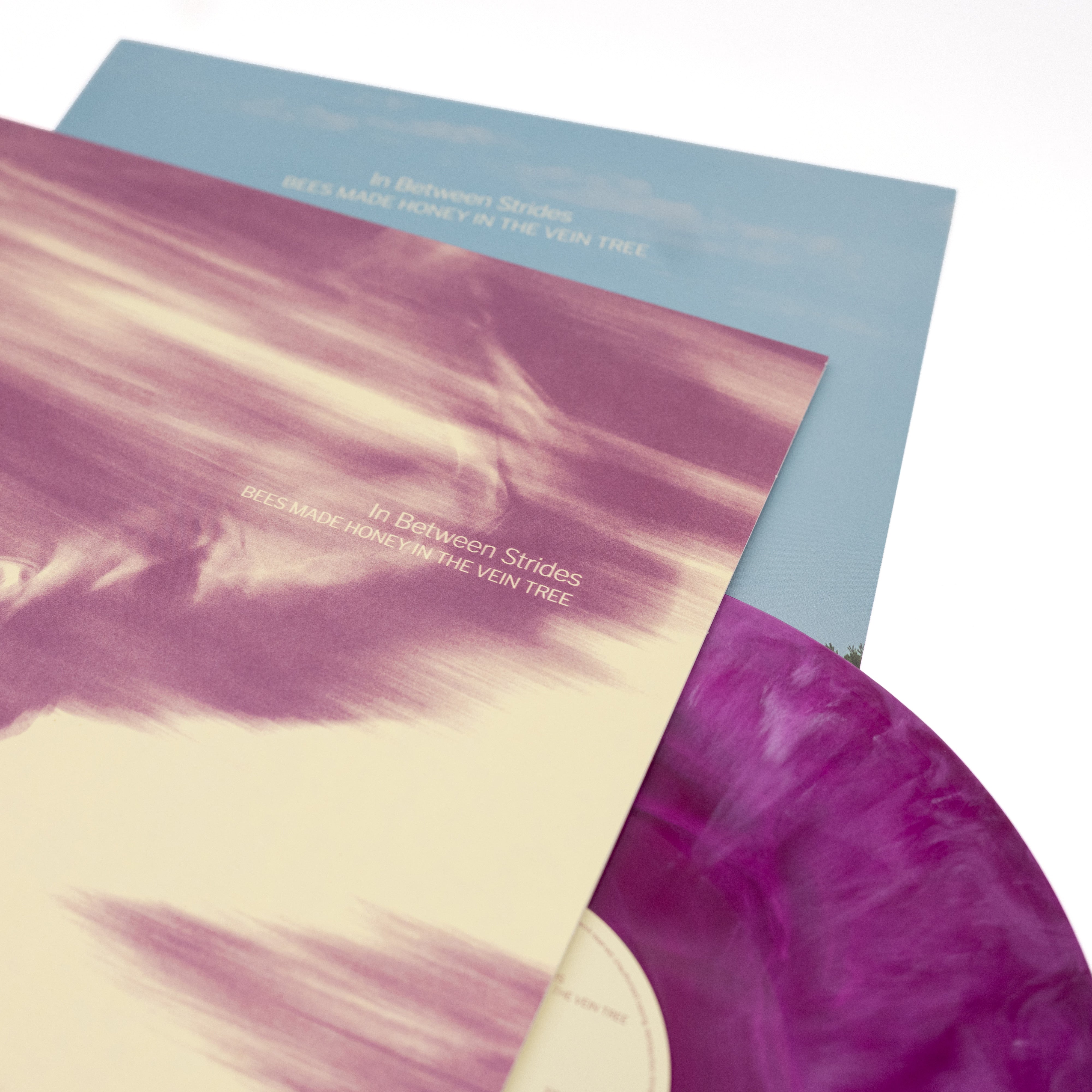 Bees Made Honey In The Vein Tree - In Between Strides (Vinyl LP - Galaxy)