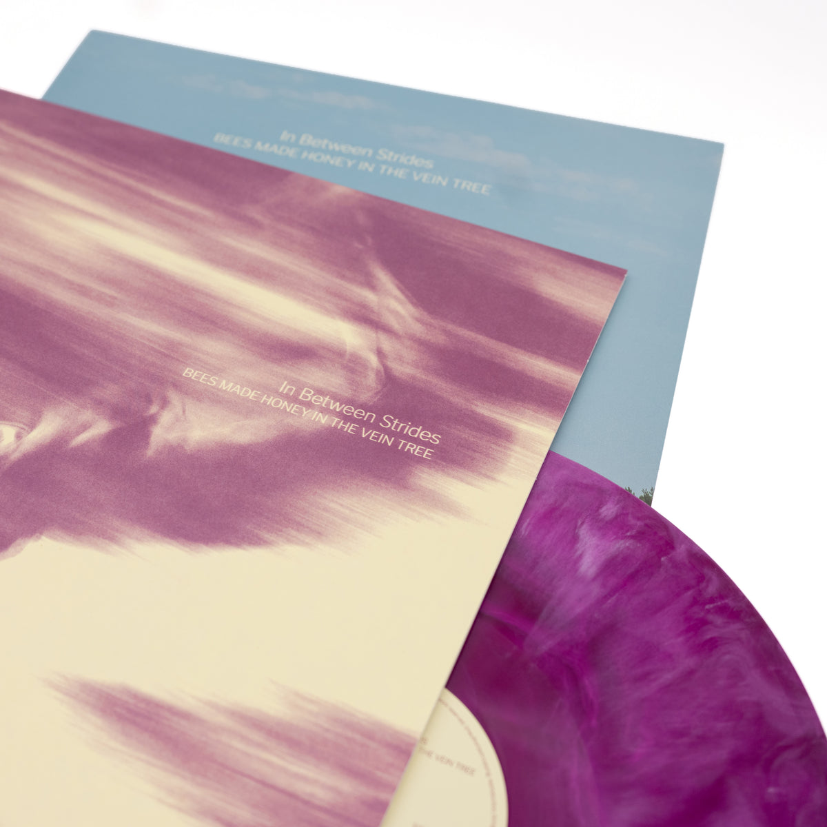 Bees Made Honey In The Vein Tree - In Between Strides (Vinyl LP - Galaxy)