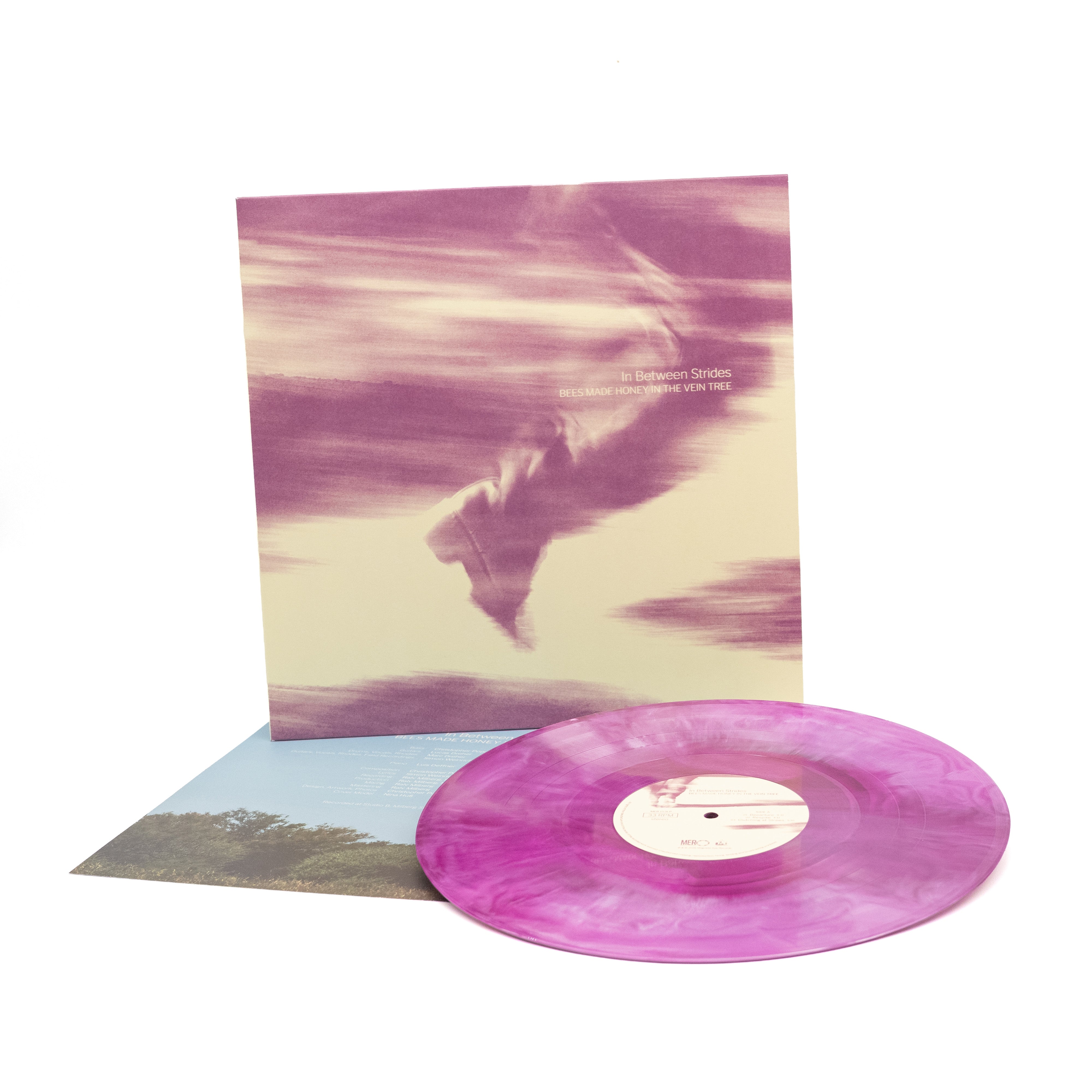 Bees Made Honey In The Vein Tree - In Between Strides (Vinyl LP - Galaxy)