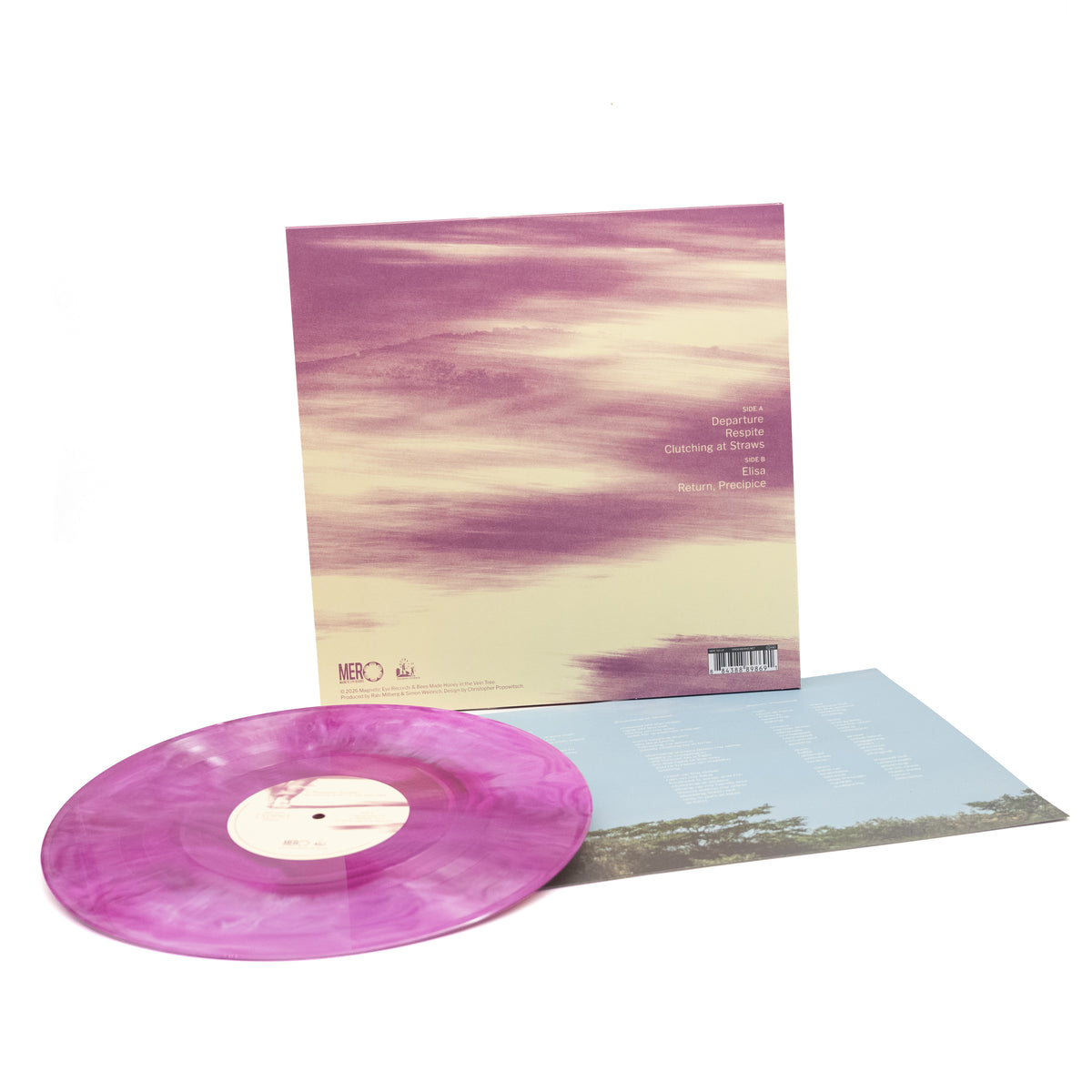 Bees Made Honey In The Vein Tree - In Between Strides (Vinyl LP - Galaxy)