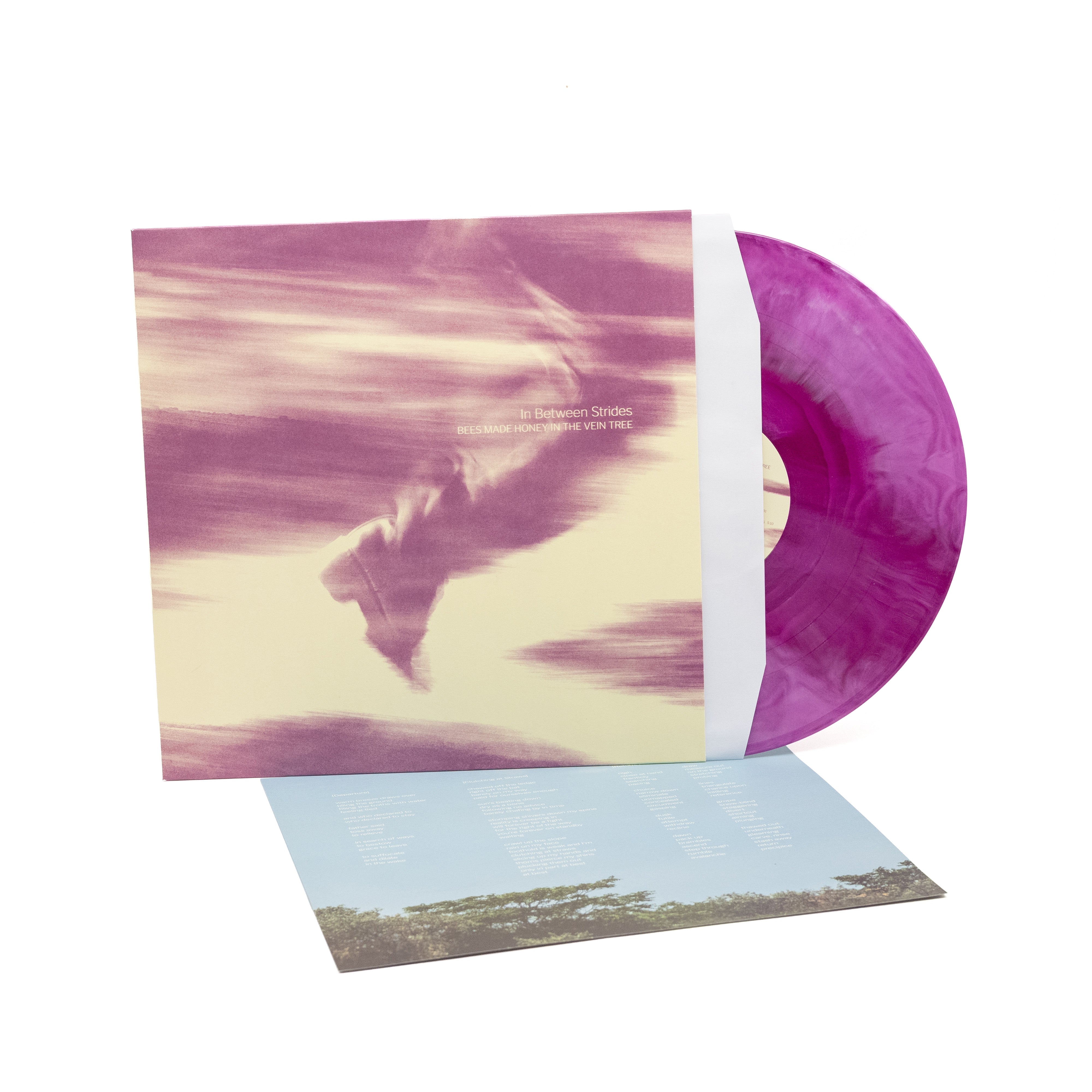 Bees Made Honey In The Vein Tree - In Between Strides (Vinyl LP - Galaxy)