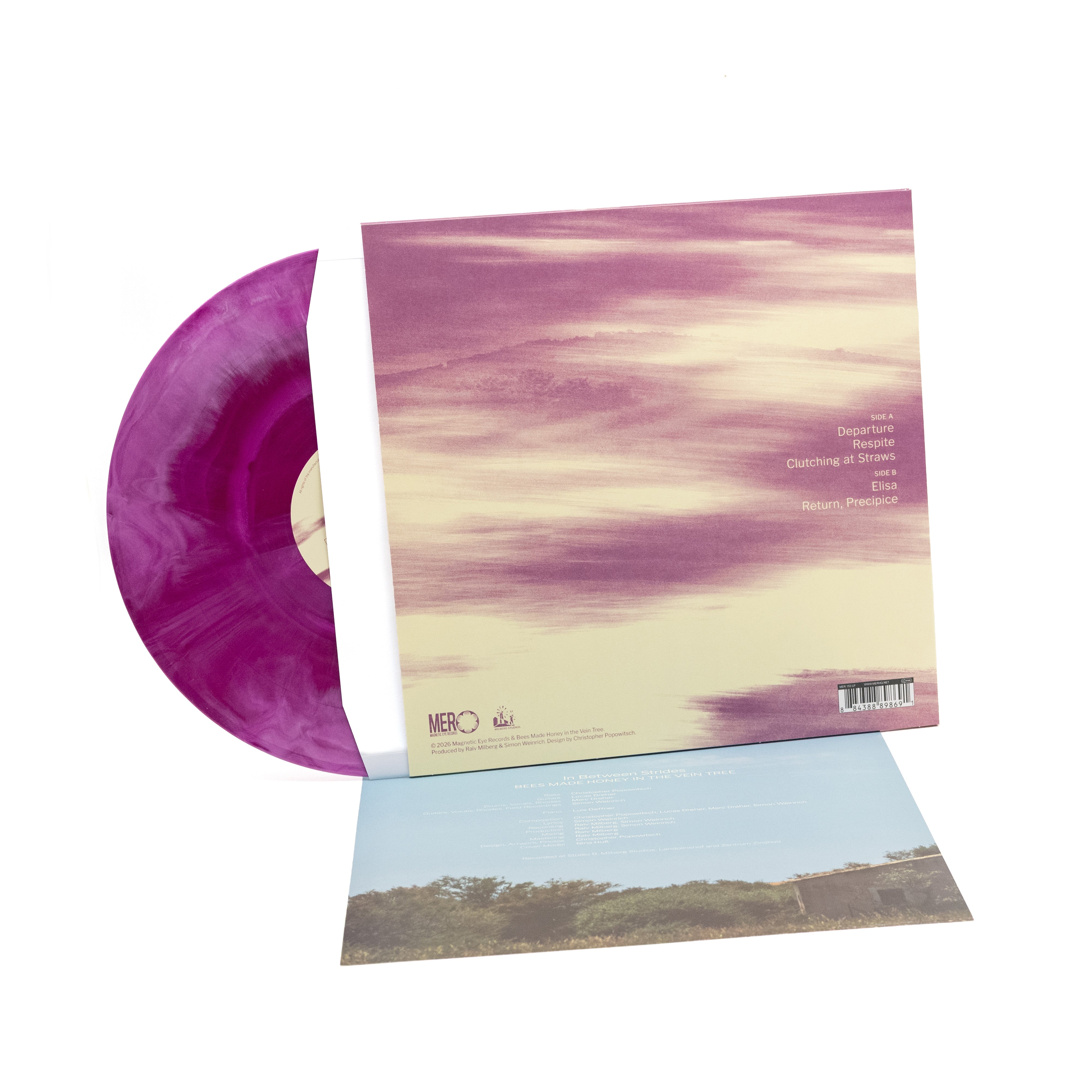 Bees Made Honey In The Vein Tree - In Between Strides (Vinyl LP - Galaxy)
