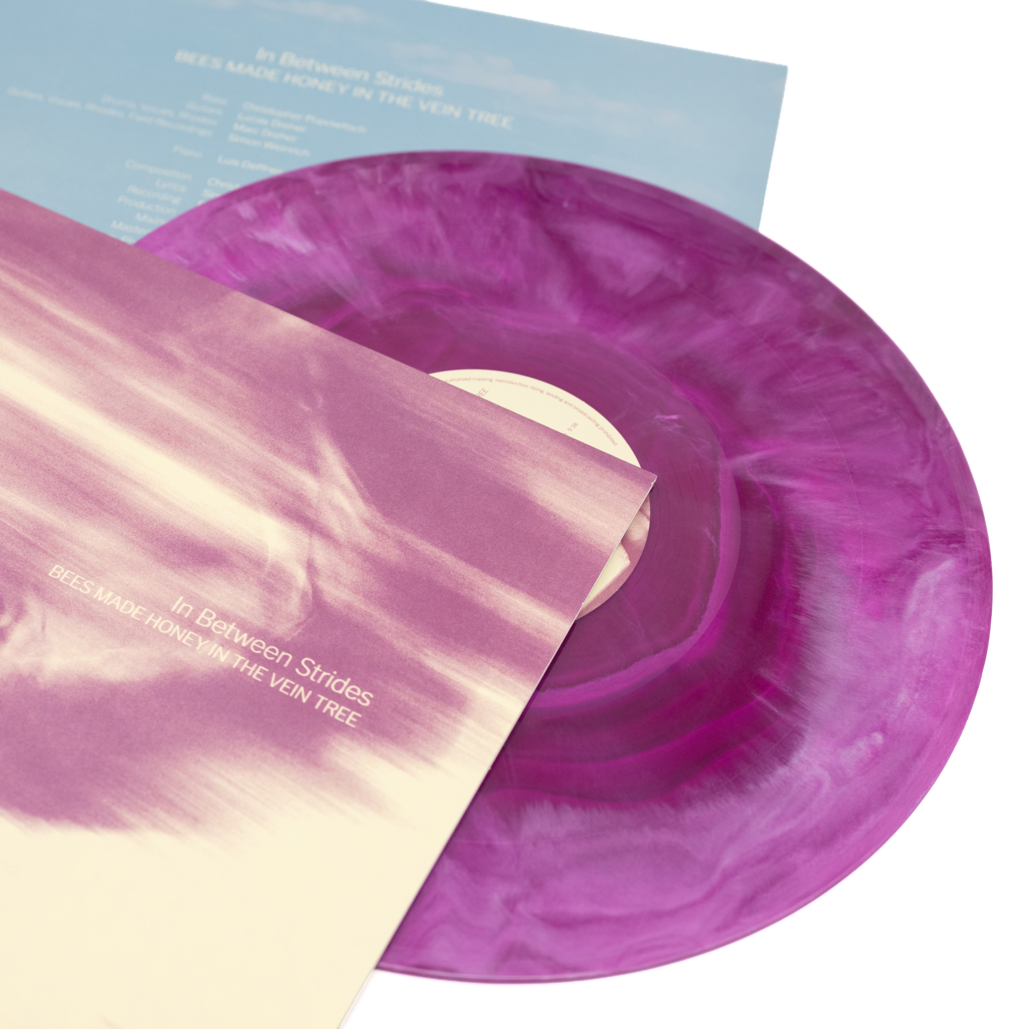 Bees Made Honey In The Vein Tree - In Between Strides (Vinyl LP - Galaxy)