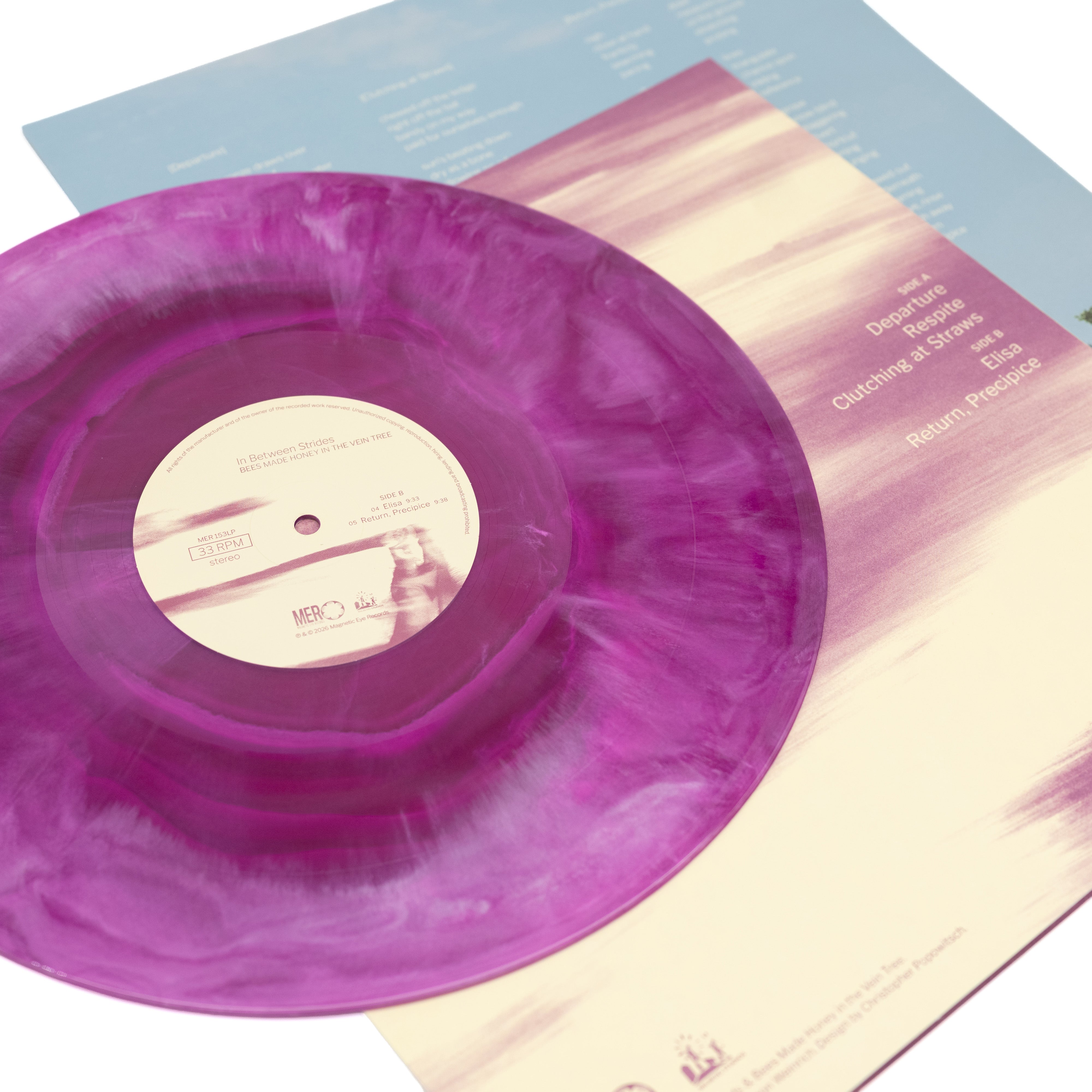 Bees Made Honey In The Vein Tree - In Between Strides (Vinyl LP - Galaxy)