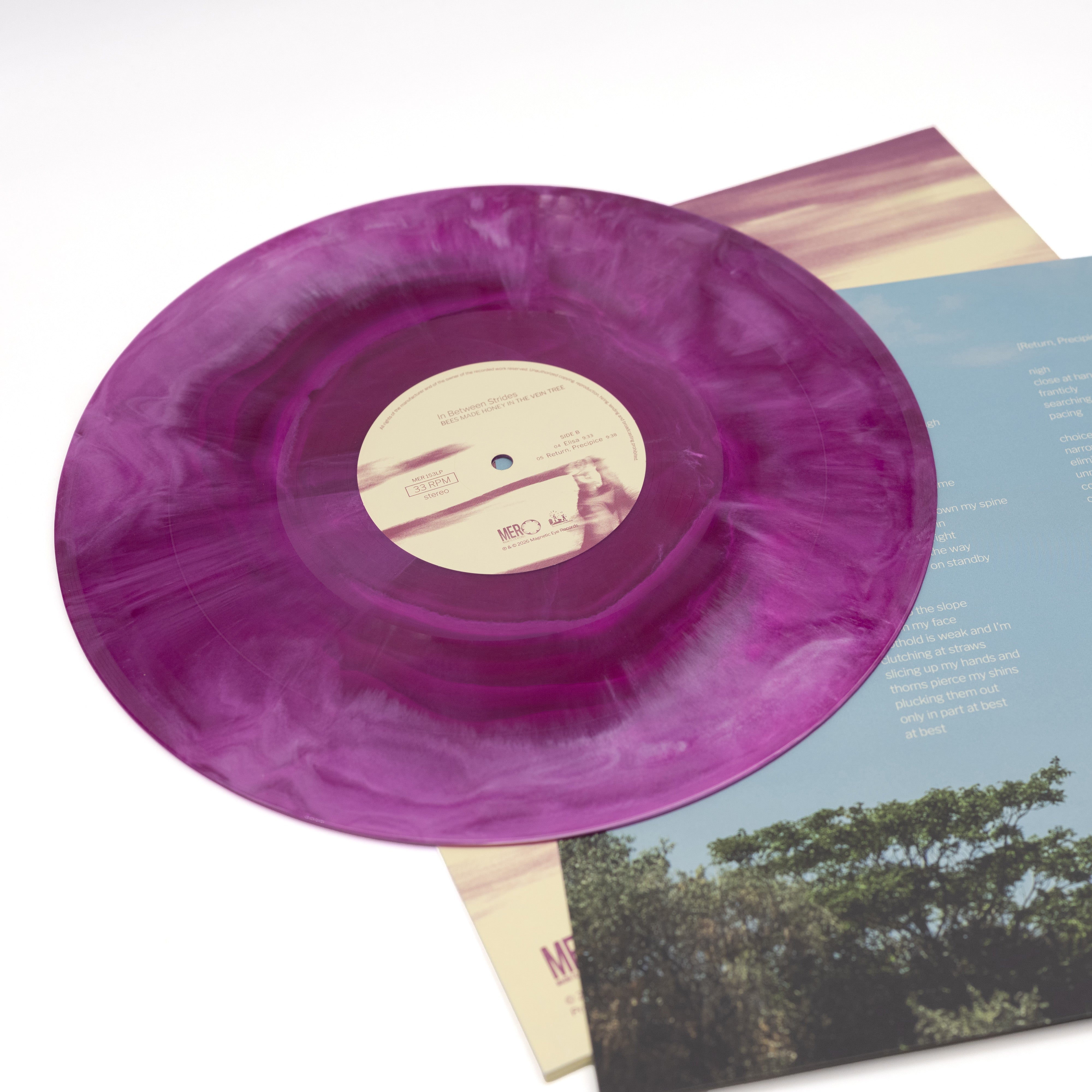 Bees Made Honey In The Vein Tree - In Between Strides (Vinyl LP - Galaxy)
