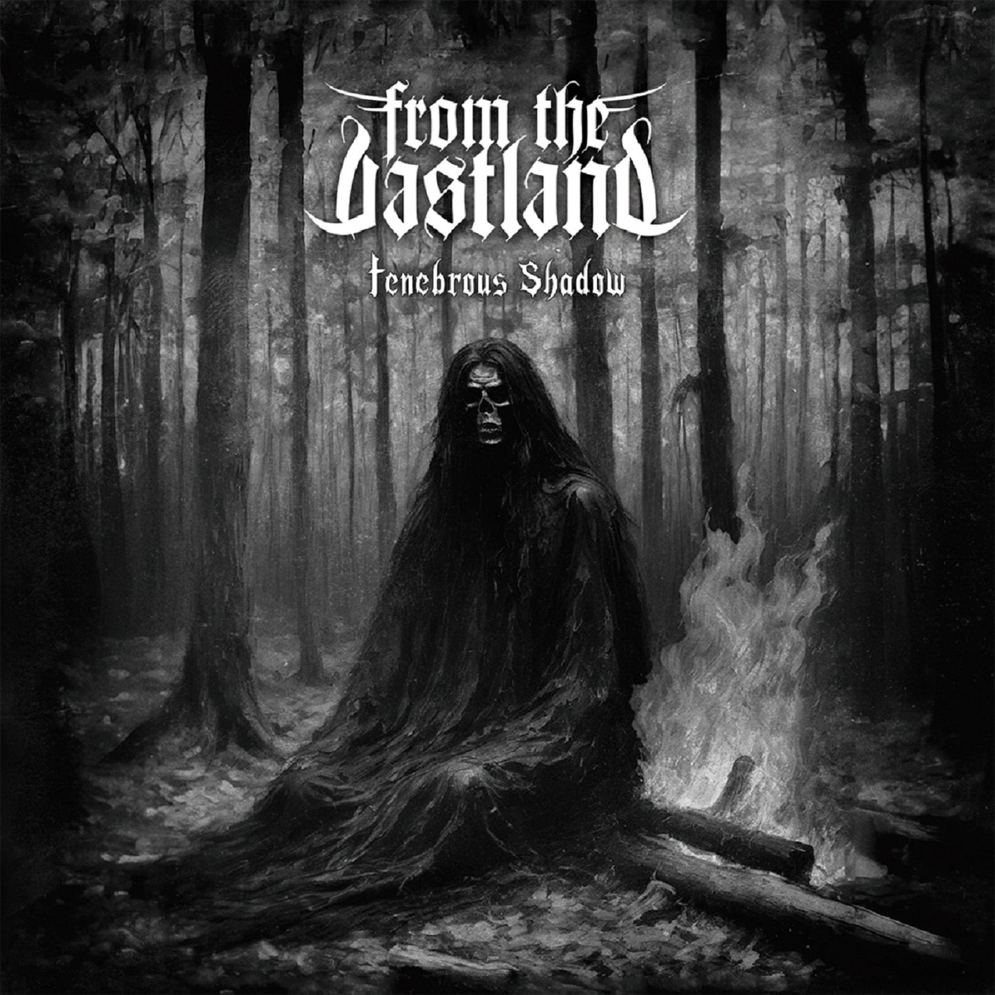 From The Vastland - Tenebrous Shadow (CD)