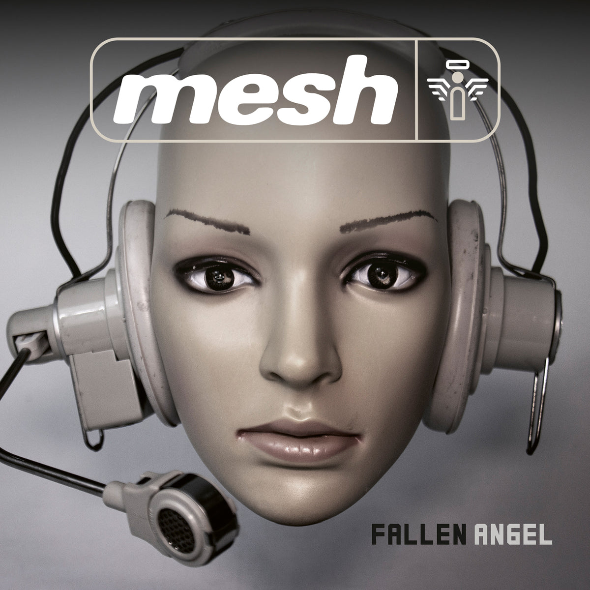 Mesh - Fallen Angel (Vinyl LP)