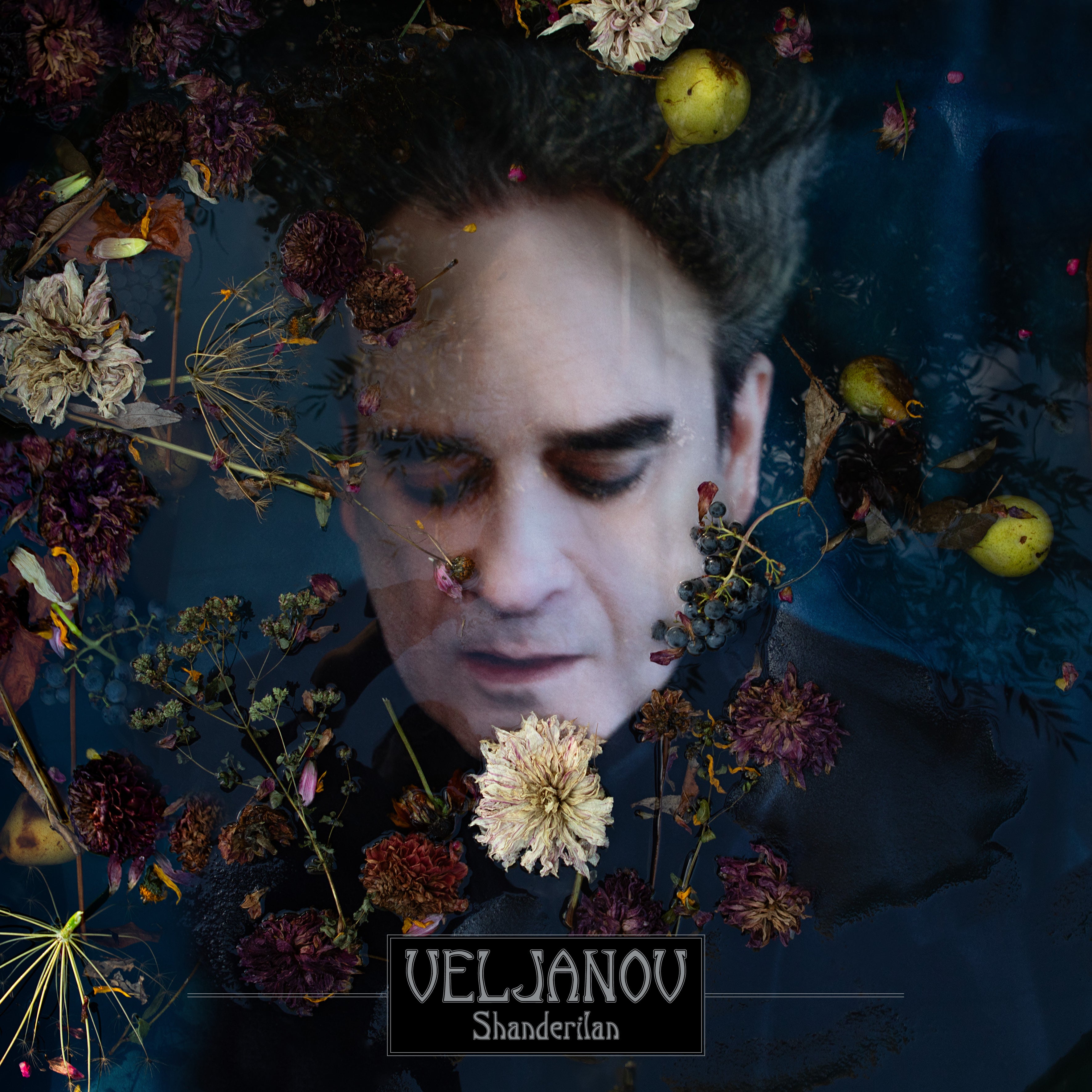 Veljanov - Shanderilan (Vinyl Gatefold LP)