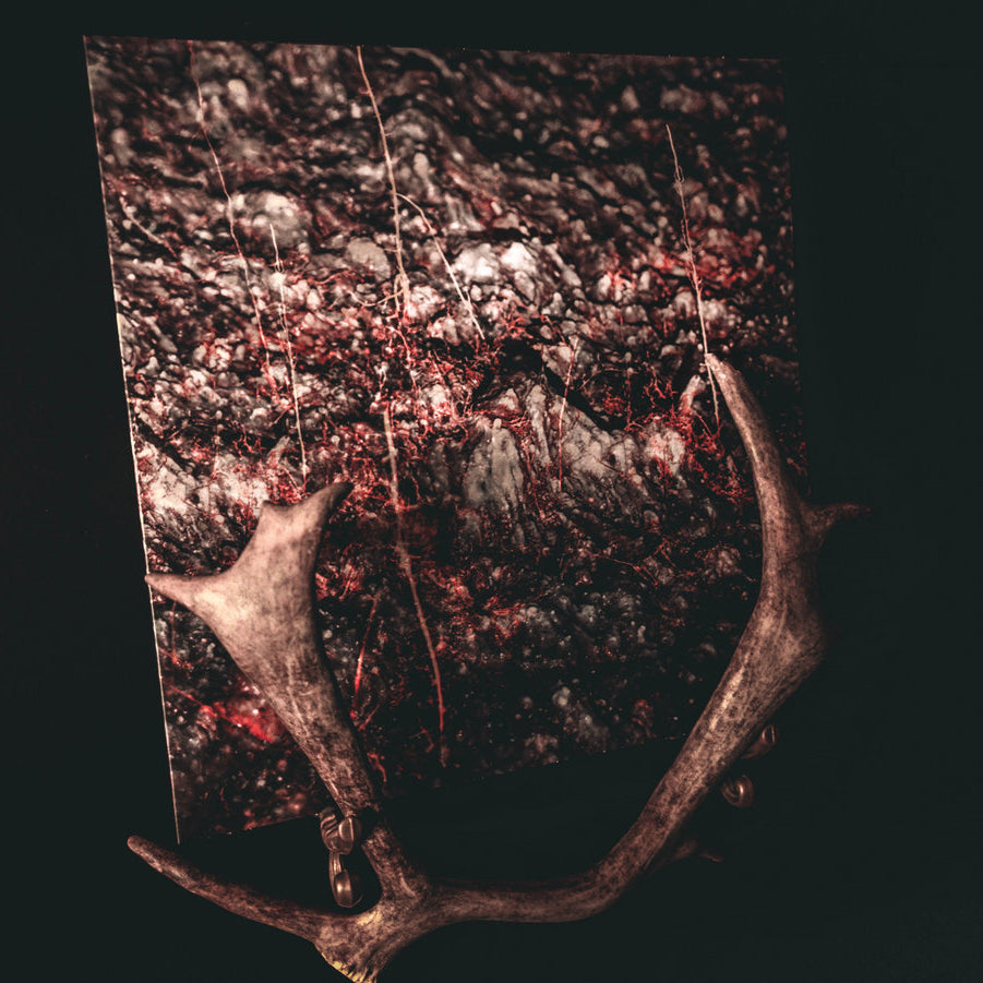 Vermianaevus - Vermianaevus (Vinyl LP - Black)